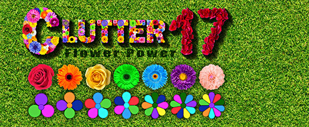 Clutter 17: Flower Power