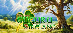 My Logic: Suguru 3 - Ireland